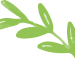 leaves-free-img.png